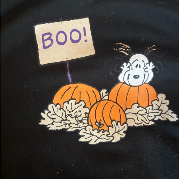 Snoopy Pumpkin Cropped Sweatshirt - Picture 2 of 4